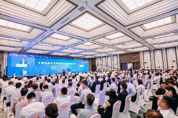 浙江系统集成协会受邀参加专精特新企业高质量发展南湖会议